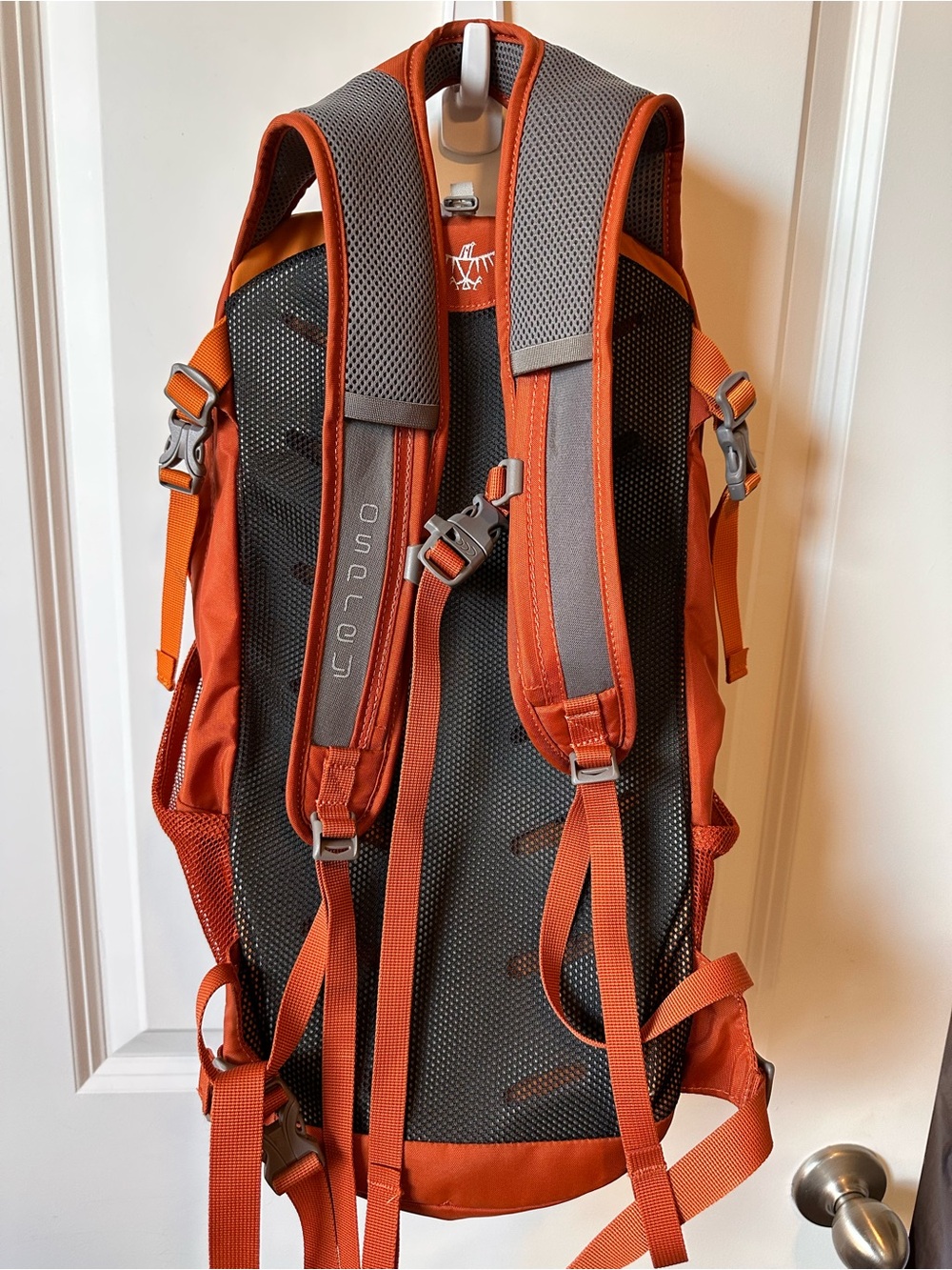 Osprey Orange Daylite Backpack NWOT - Picture 5 of 10